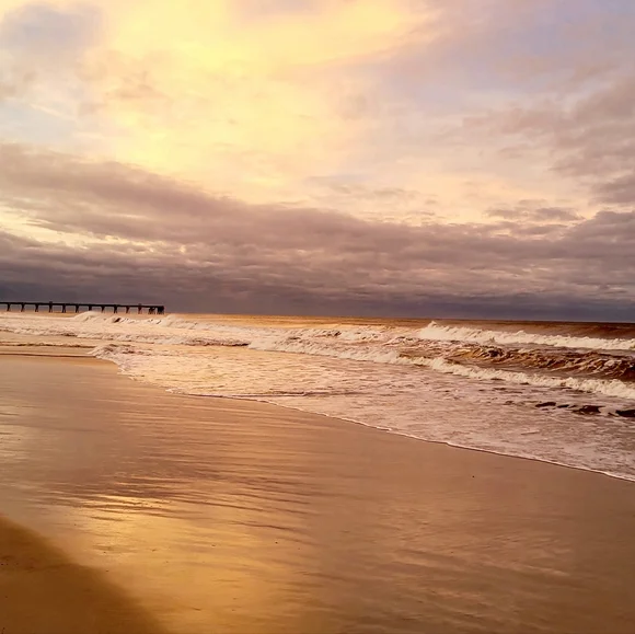 POSH, POSH, PASS RAID Party TRAIN Flyer & UNLISTED During Train 🪅❤️🎊💕🎊🪅💜 - Picture 8 of 10